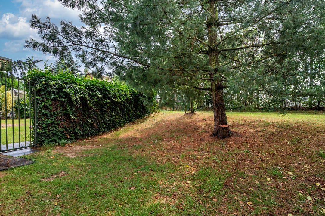 Foto 56 van Dumasstraat 13