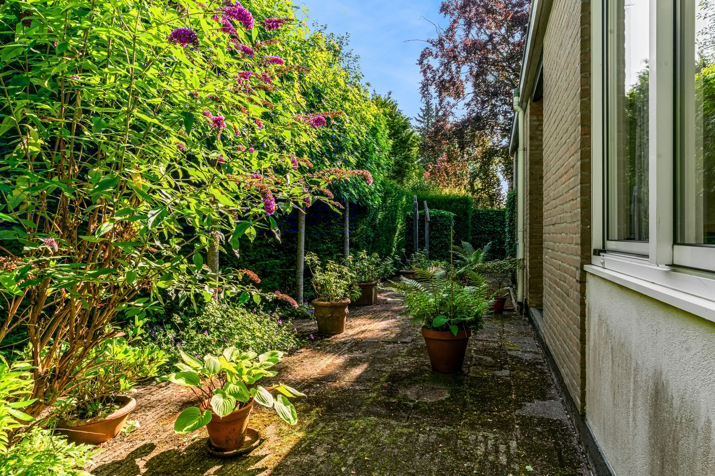 Foto 29 van Emmalaan 30