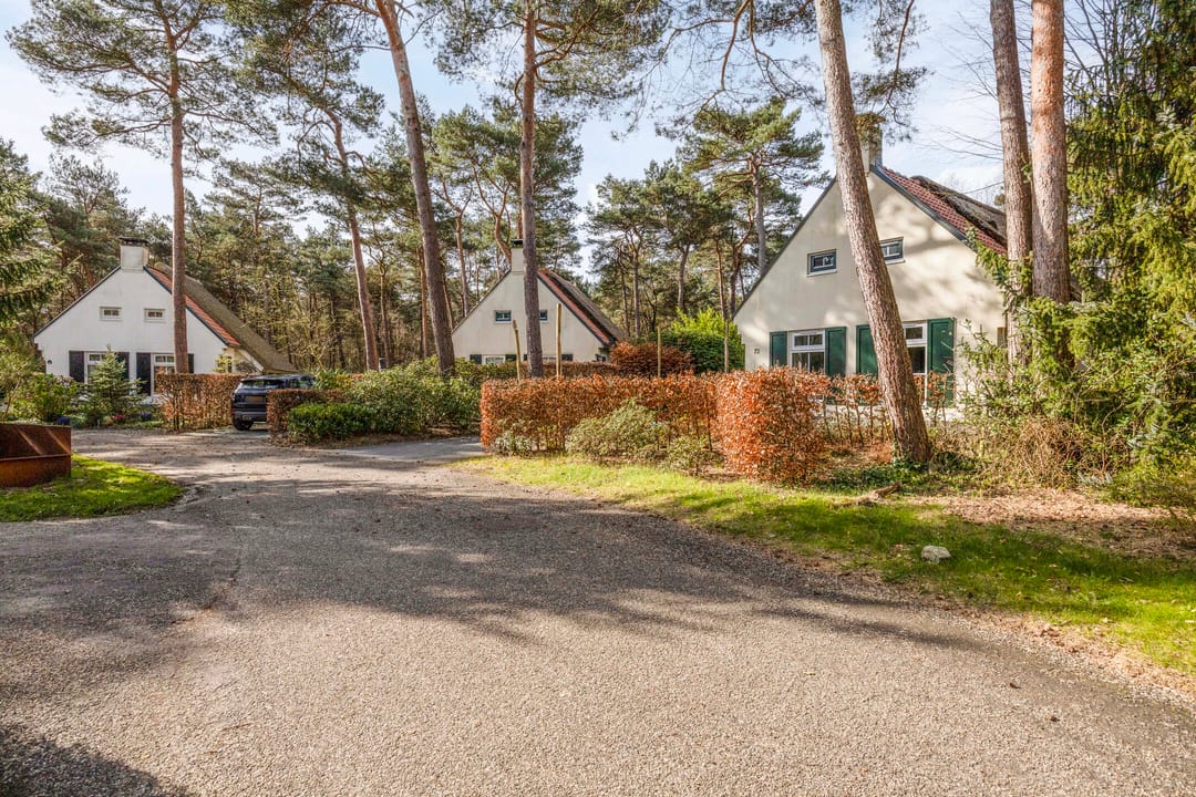 Photo 2 of De Witte Bergen 72