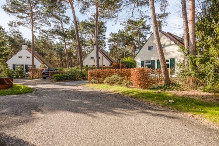 Photo 2 of De Witte Bergen 72