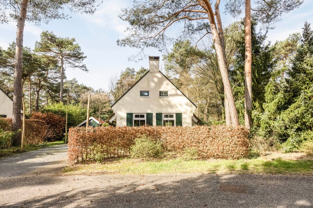 Photo 31 of De Witte Bergen 72