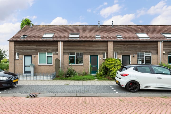 undefined main image