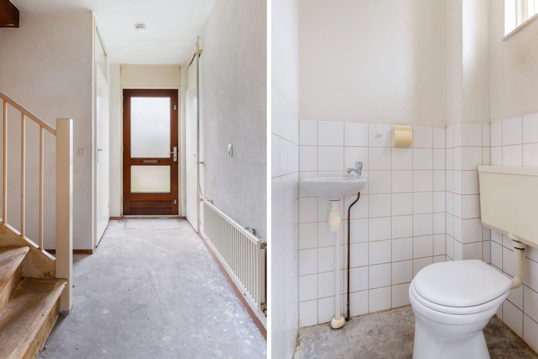 Foto 8 van Veenmos 3