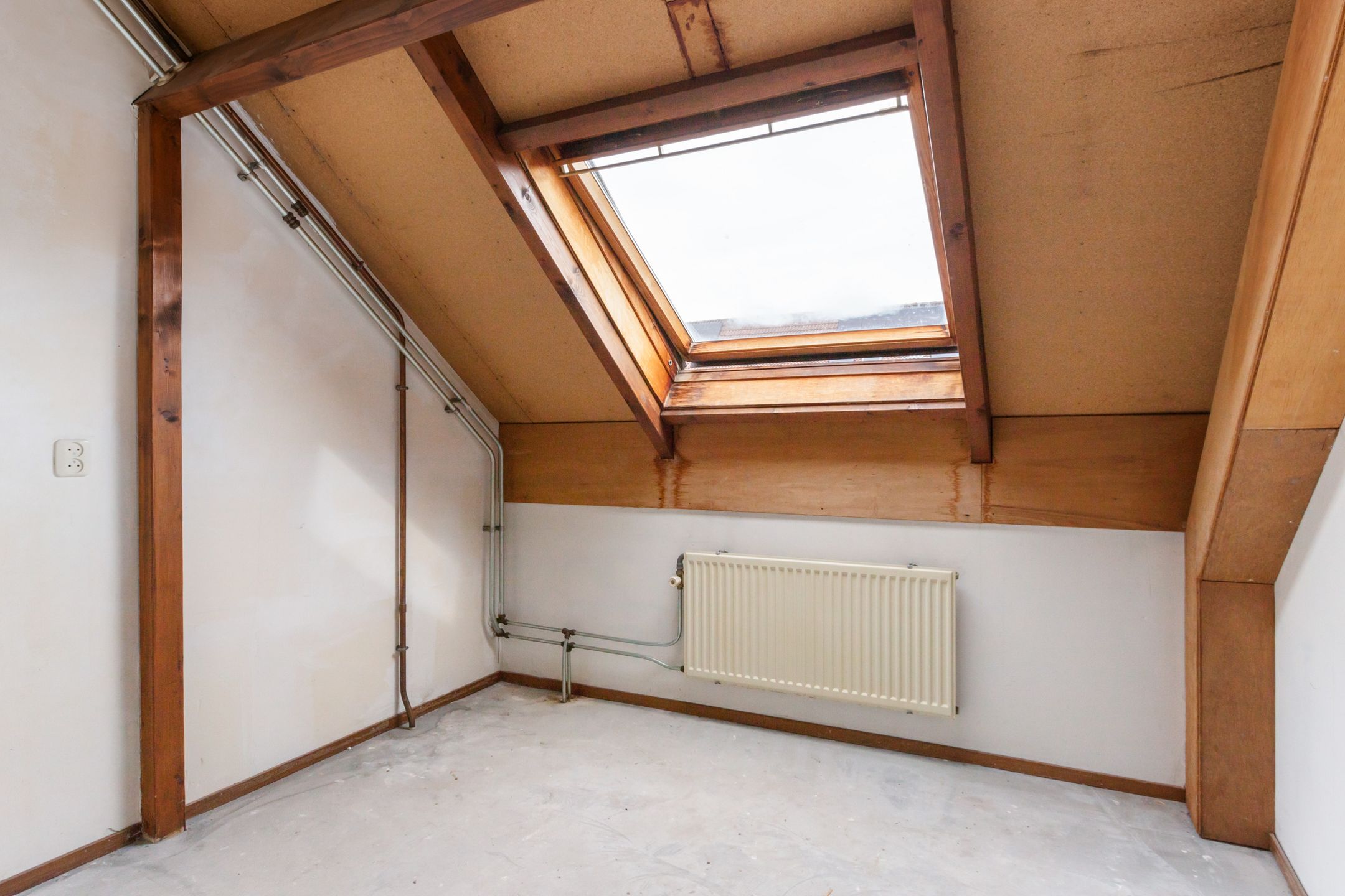 Foto 18 van Veenmos 3