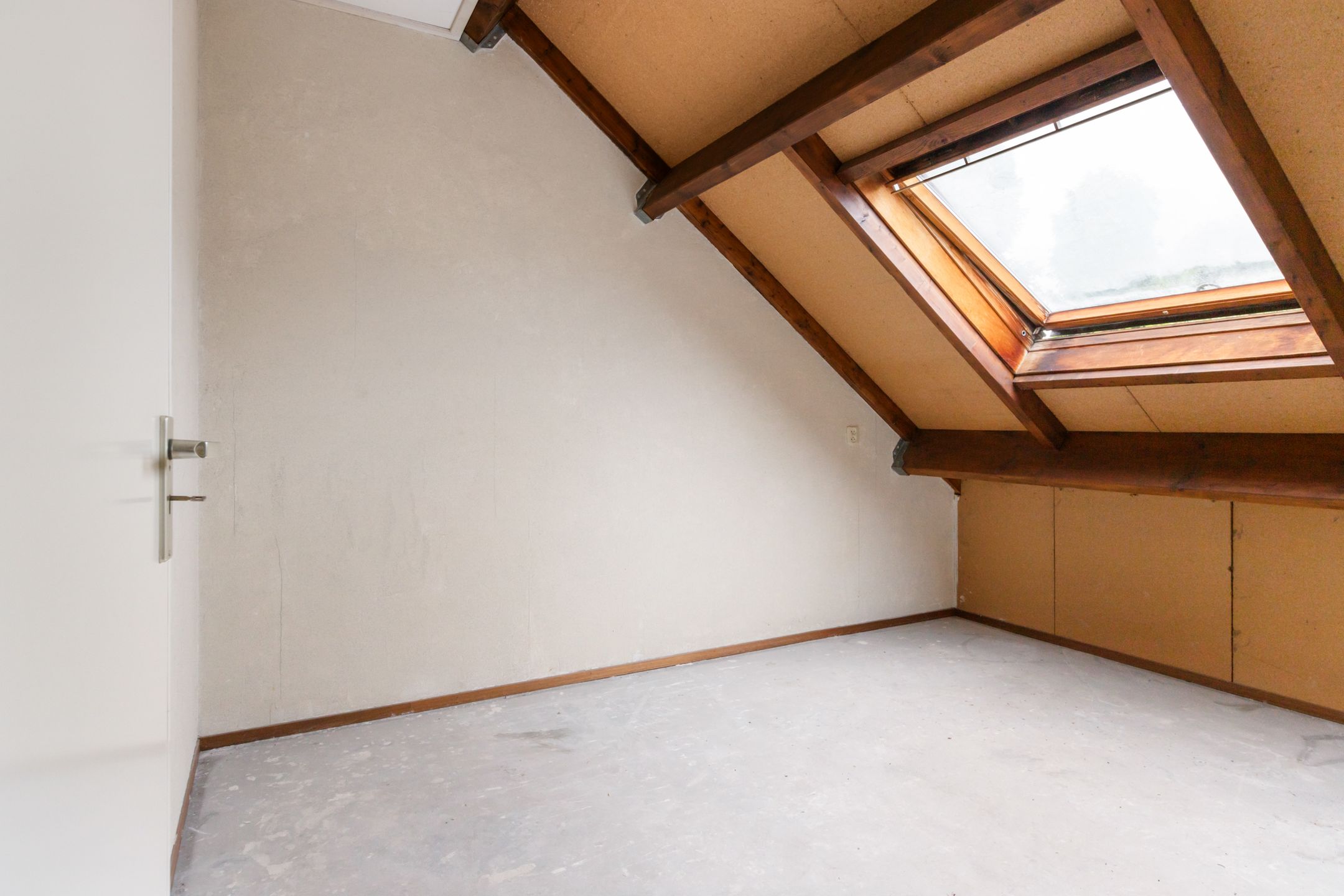 Foto 24 van Veenmos 3