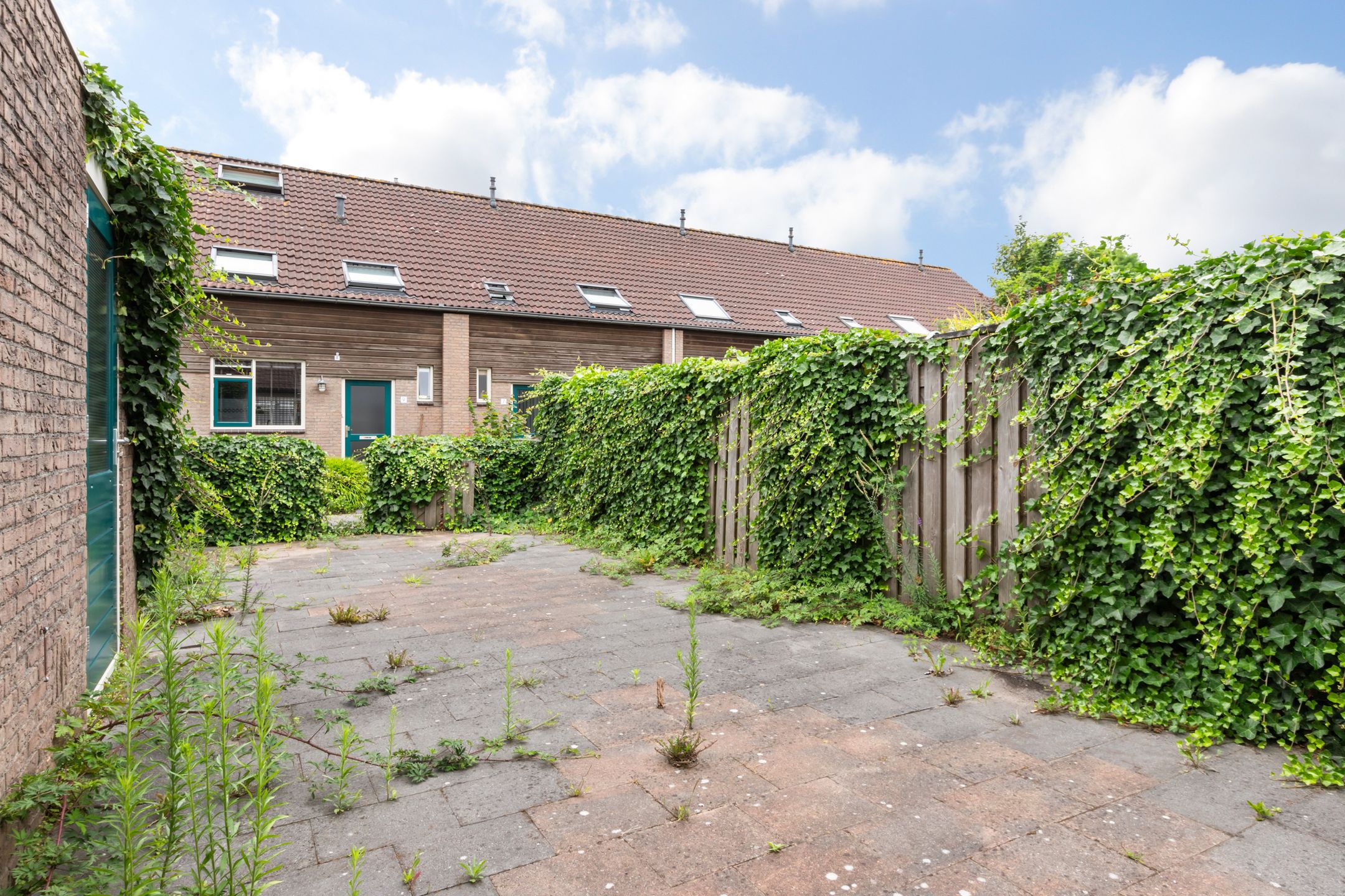 Foto 27 van Veenmos 3