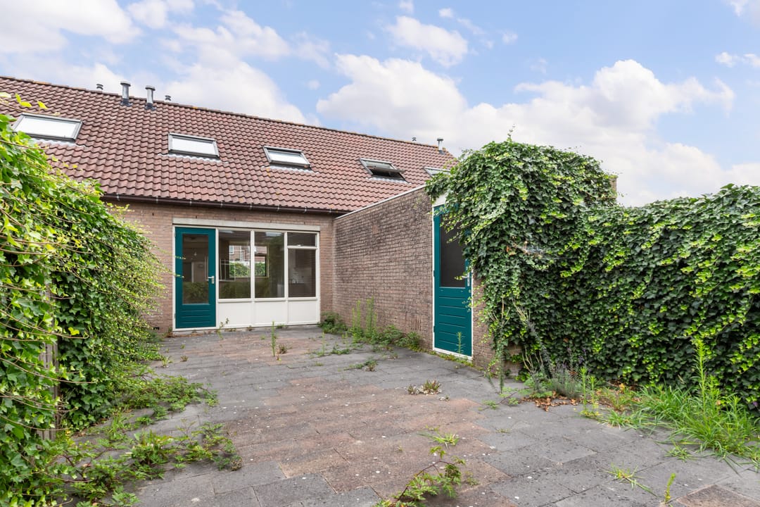 Foto 28 van Veenmos 3