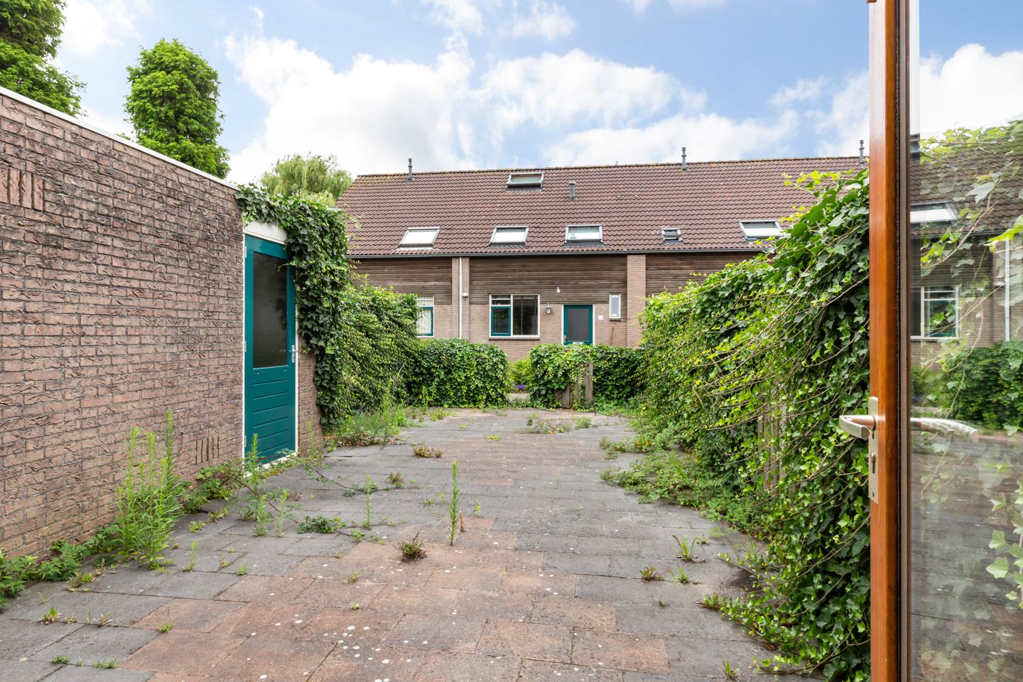 Foto 29 van Veenmos 3