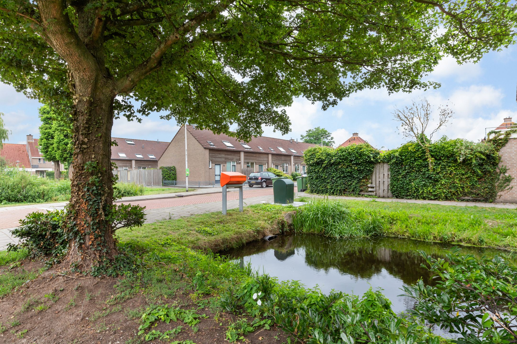 Foto 30 van Veenmos 3