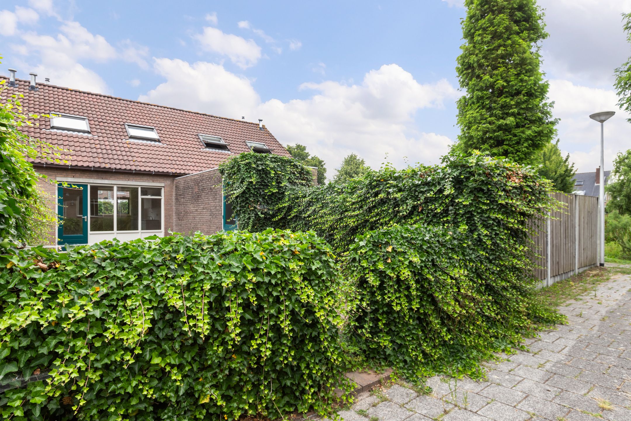 Foto 33 van Veenmos 3