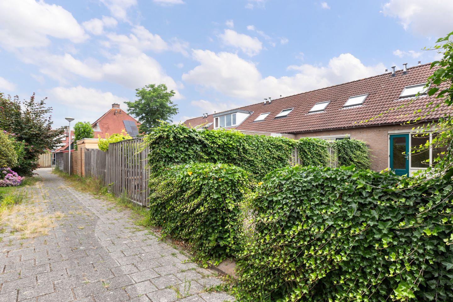 Foto 34 van Veenmos 3