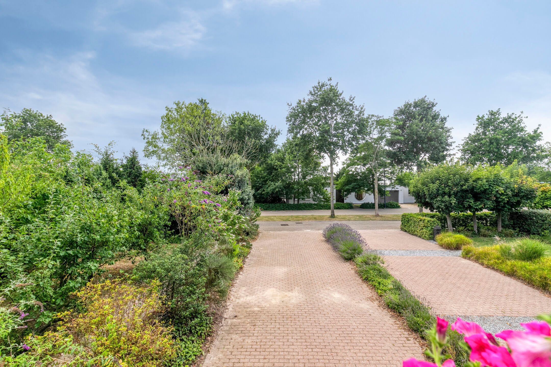 Photo 21 of Hollandse Hout 186