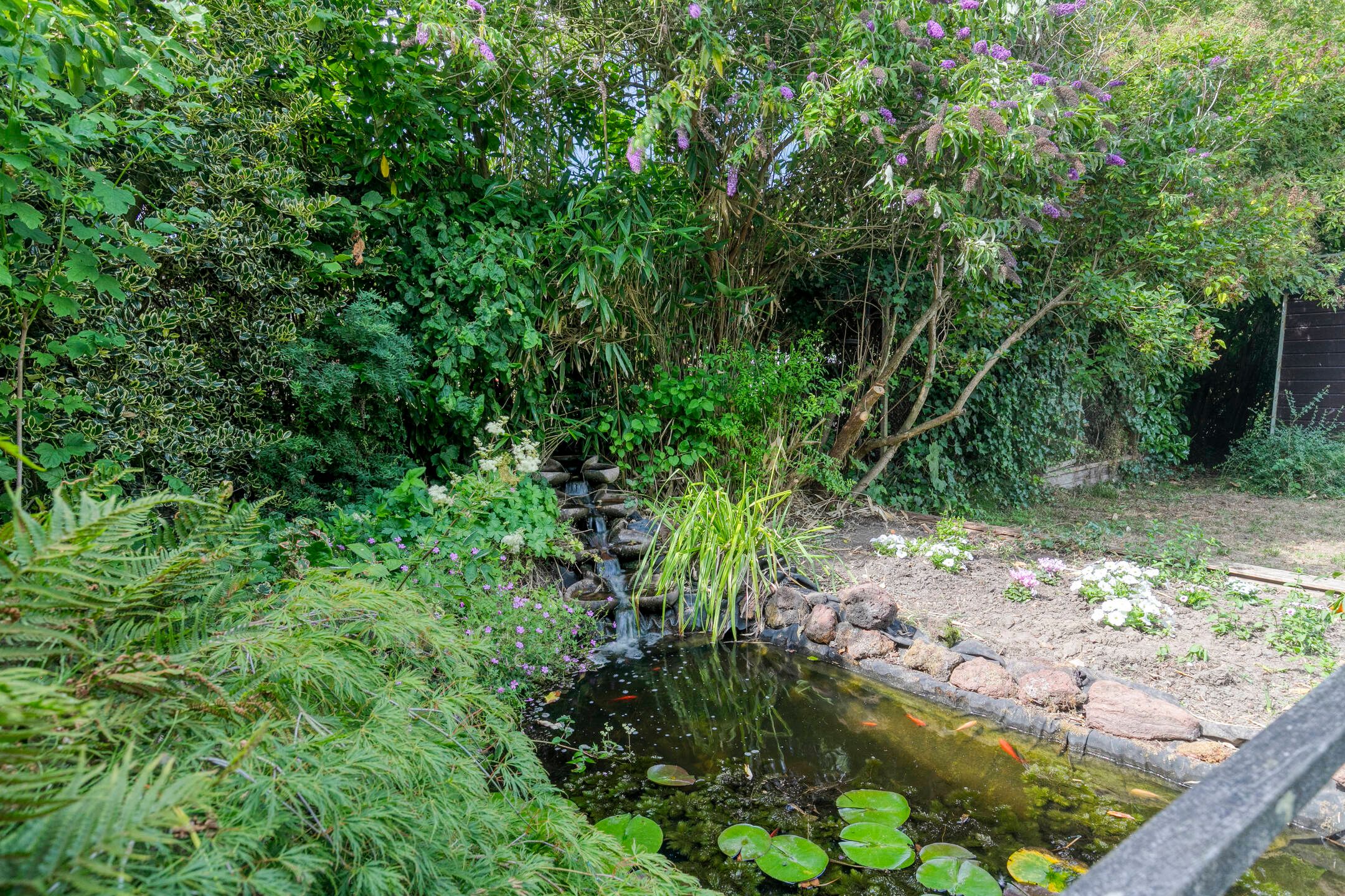 Photo 48 of Hollandse Hout 186