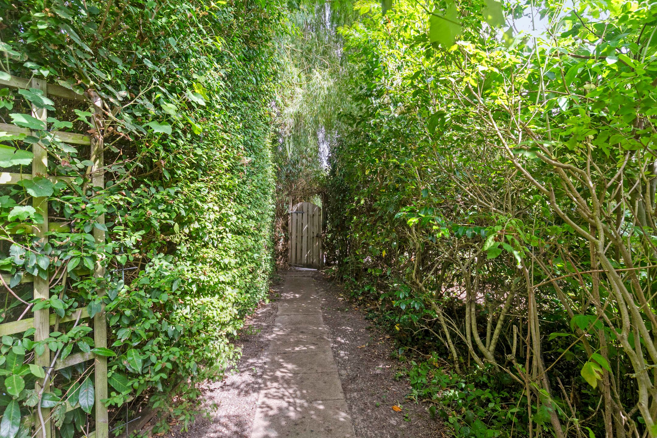 Photo 54 of Hollandse Hout 186