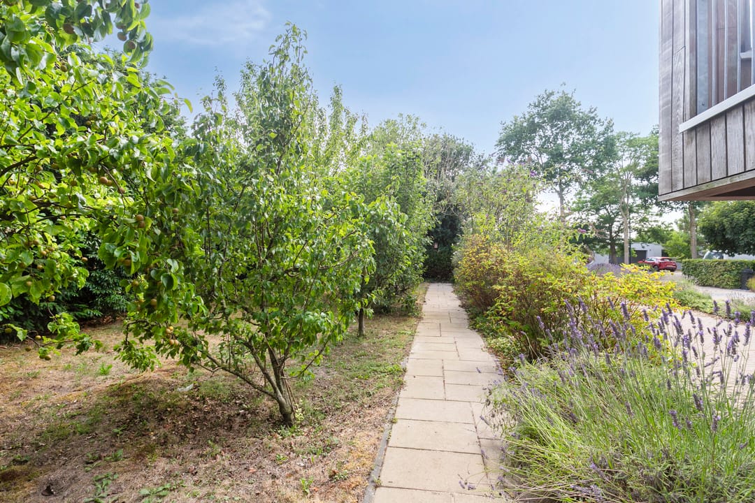 Photo 58 of Hollandse Hout 186