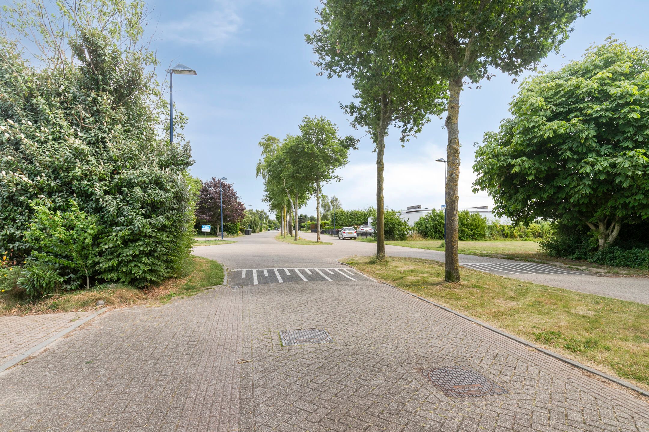 Photo 60 of Hollandse Hout 186