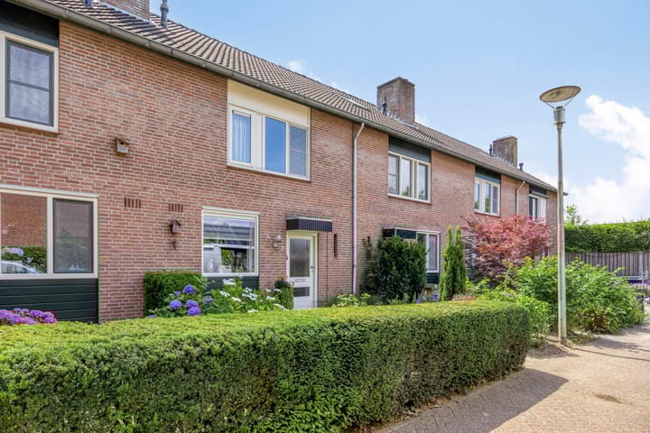 Foto 2 van de Meidoorn 7