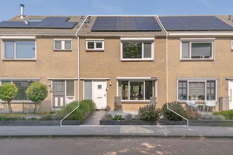 undefined main image