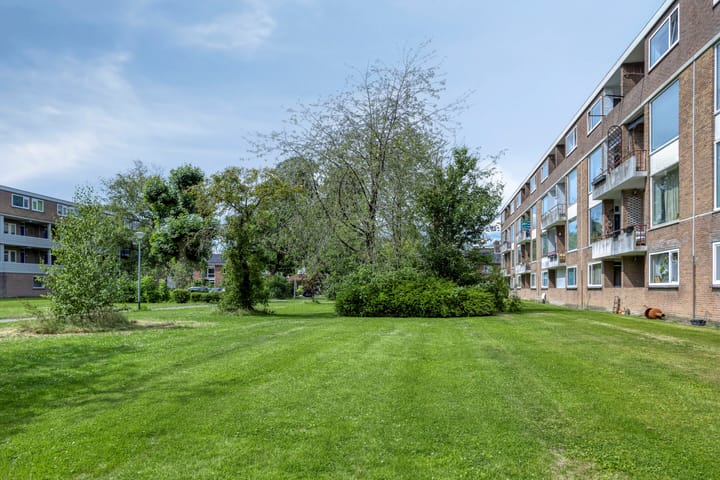 Foto 39 van Illegaliteitslaan 110