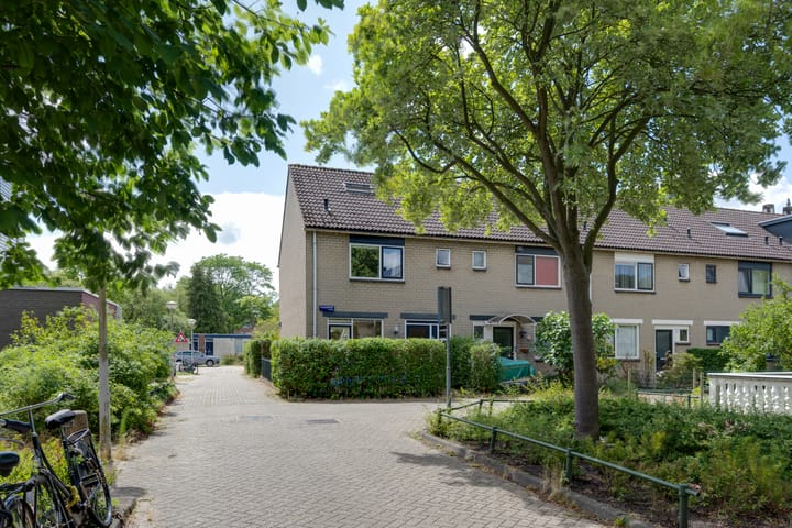 Photo 45 of Vlaggemast 52