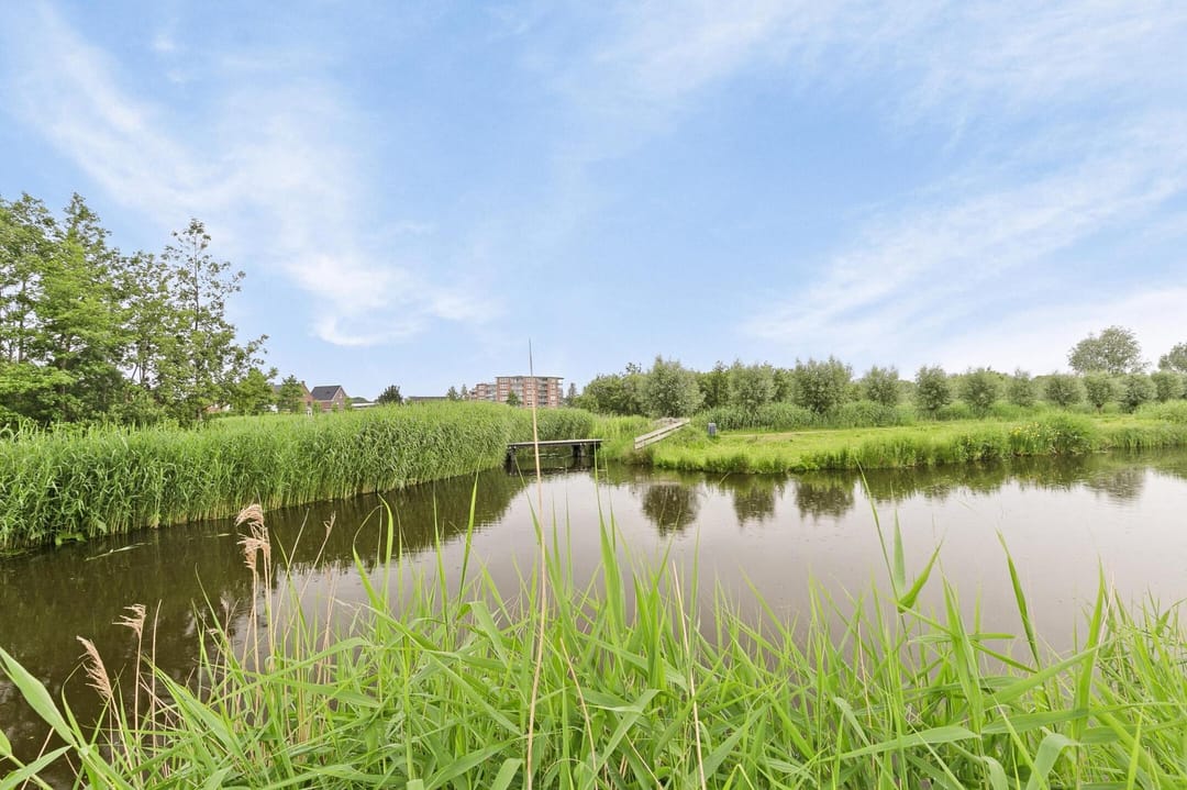 Photo 32 of Singapore 5