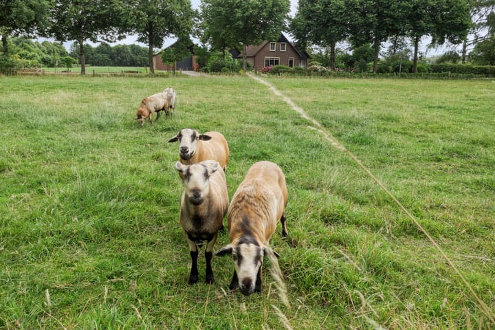 Foto 35 van Kloosterhoekweg 11