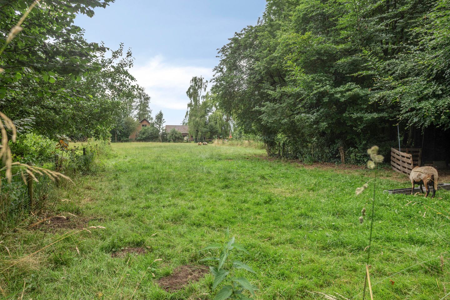 Foto 50 van Kloosterhoekweg 11