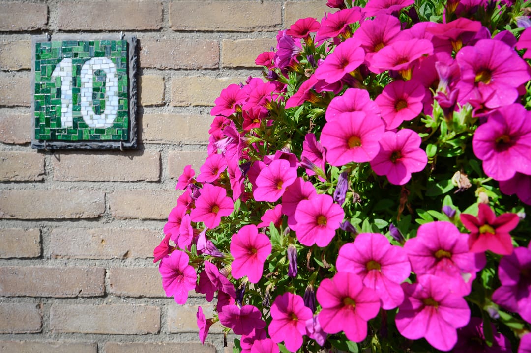 Foto 38 van Cornelis Dopperlaan 10