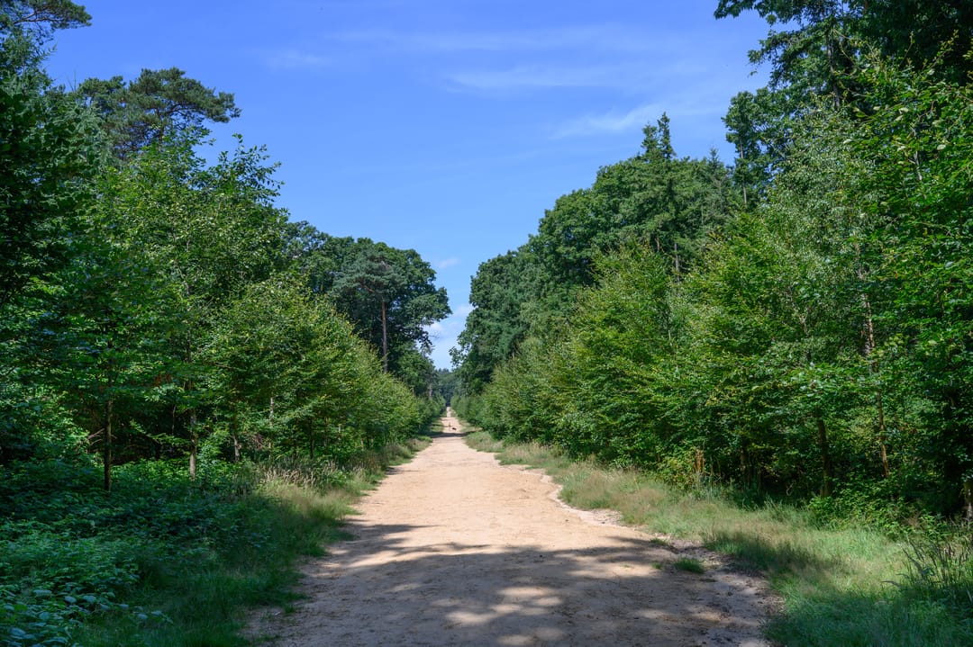 Foto 46 van Cornelis Dopperlaan 10