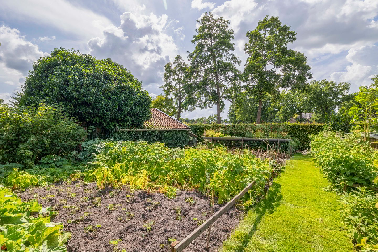 Foto 55 van De Feart 48