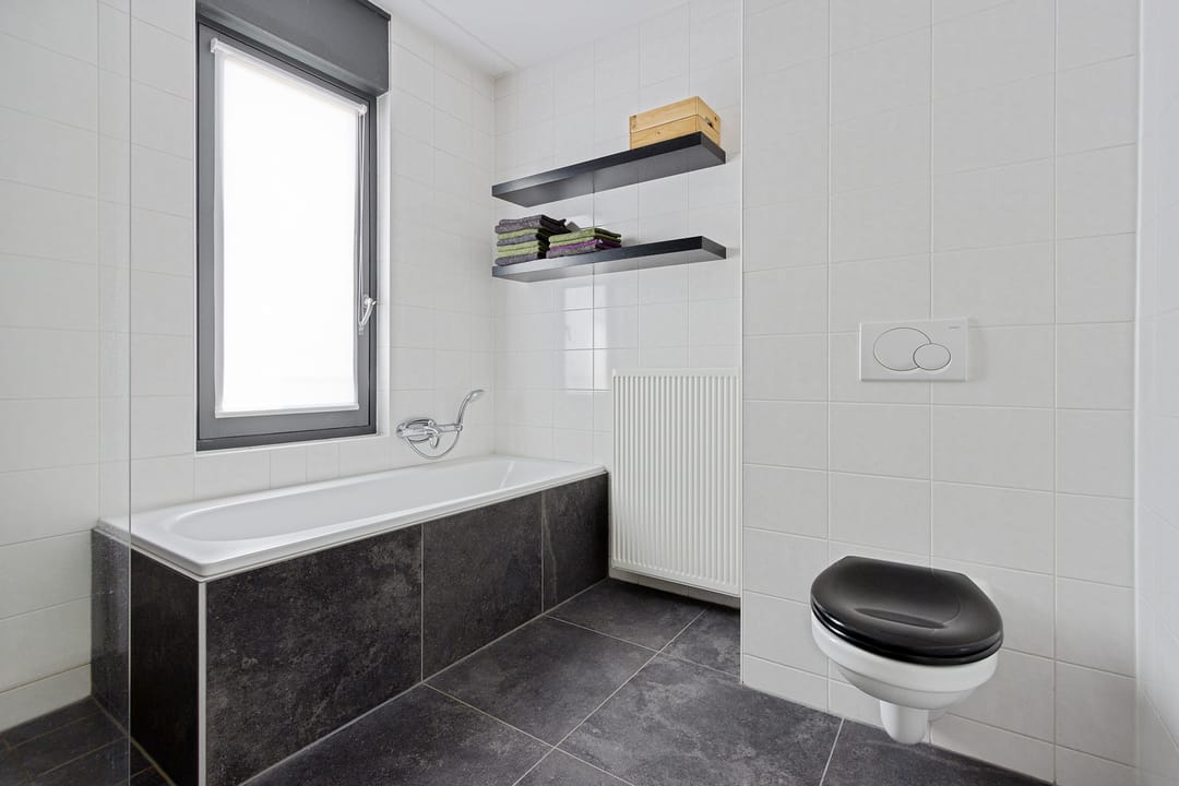 Foto 26 van Vuurvlinder 21