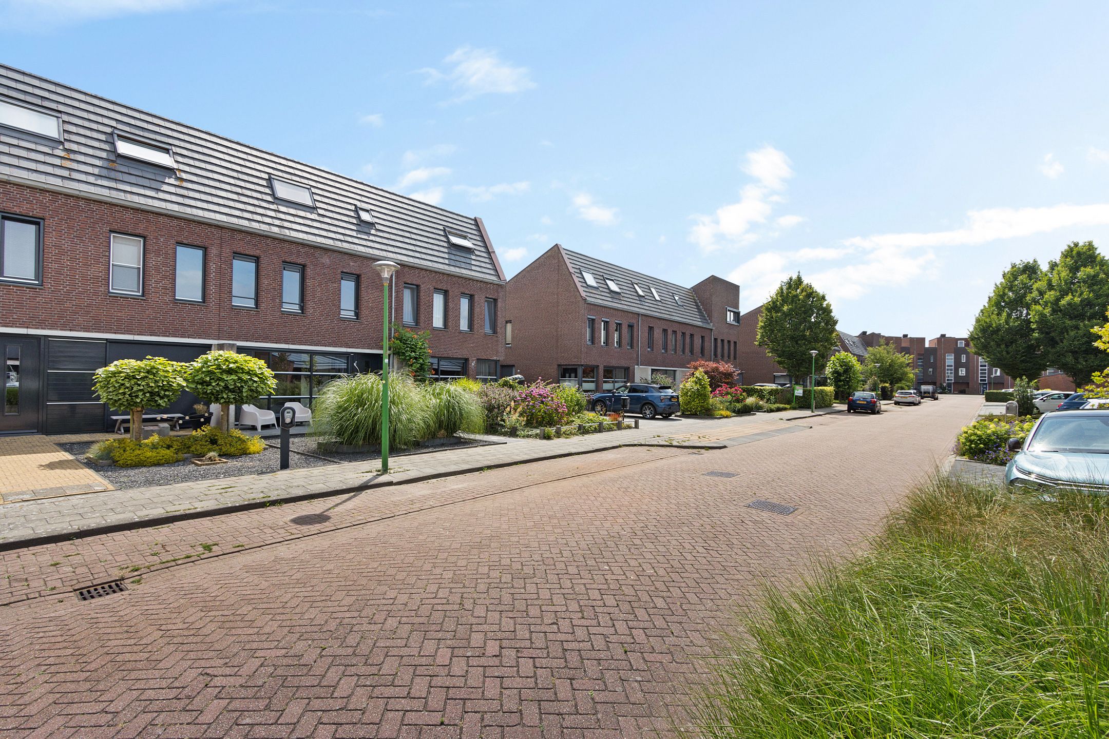 Foto 42 van Vuurvlinder 21