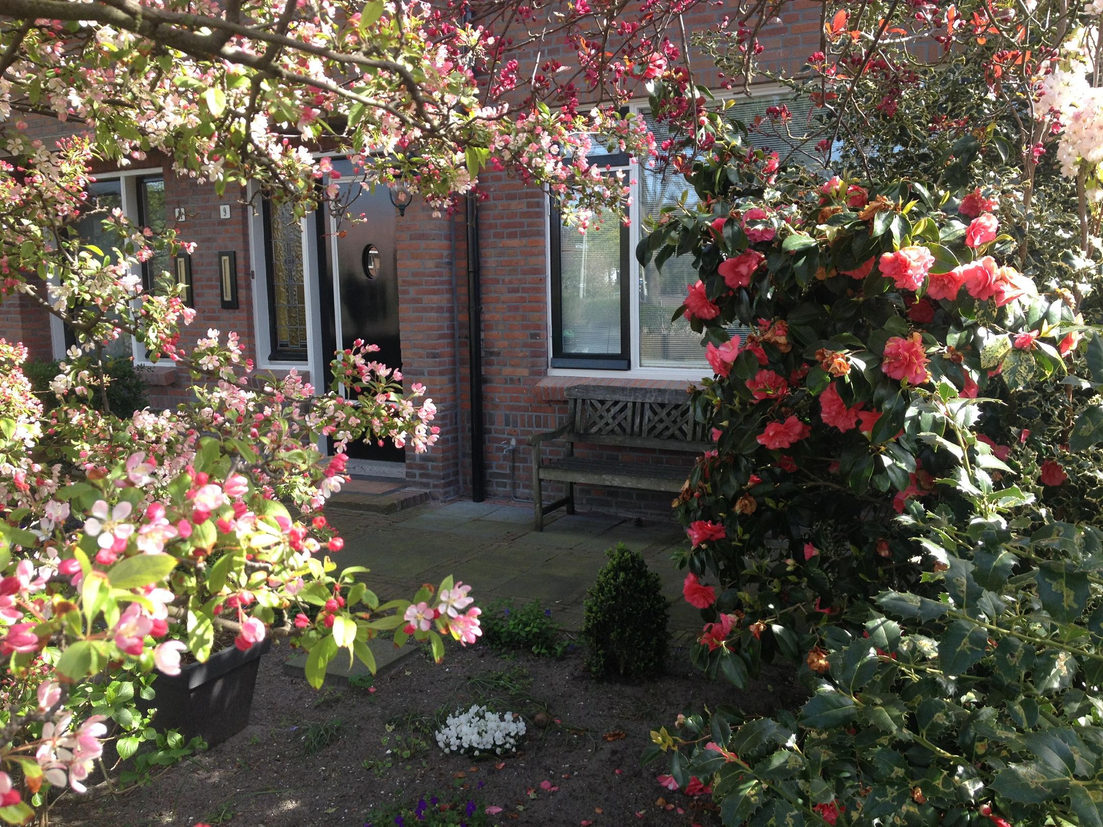 Photo 3 of Hoenderlaan 9