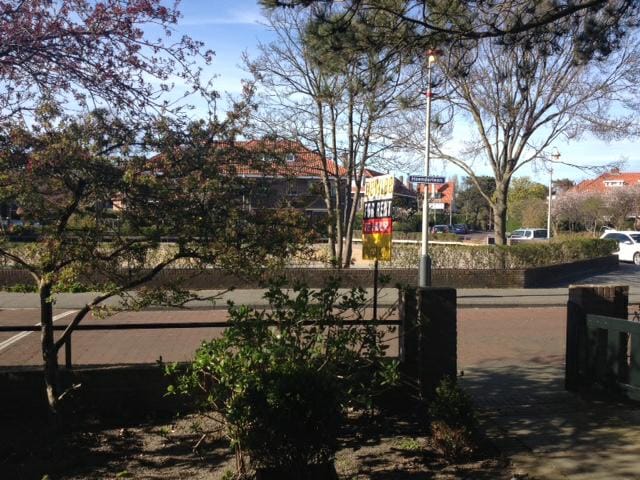 Foto 7 van Hoenderlaan 9