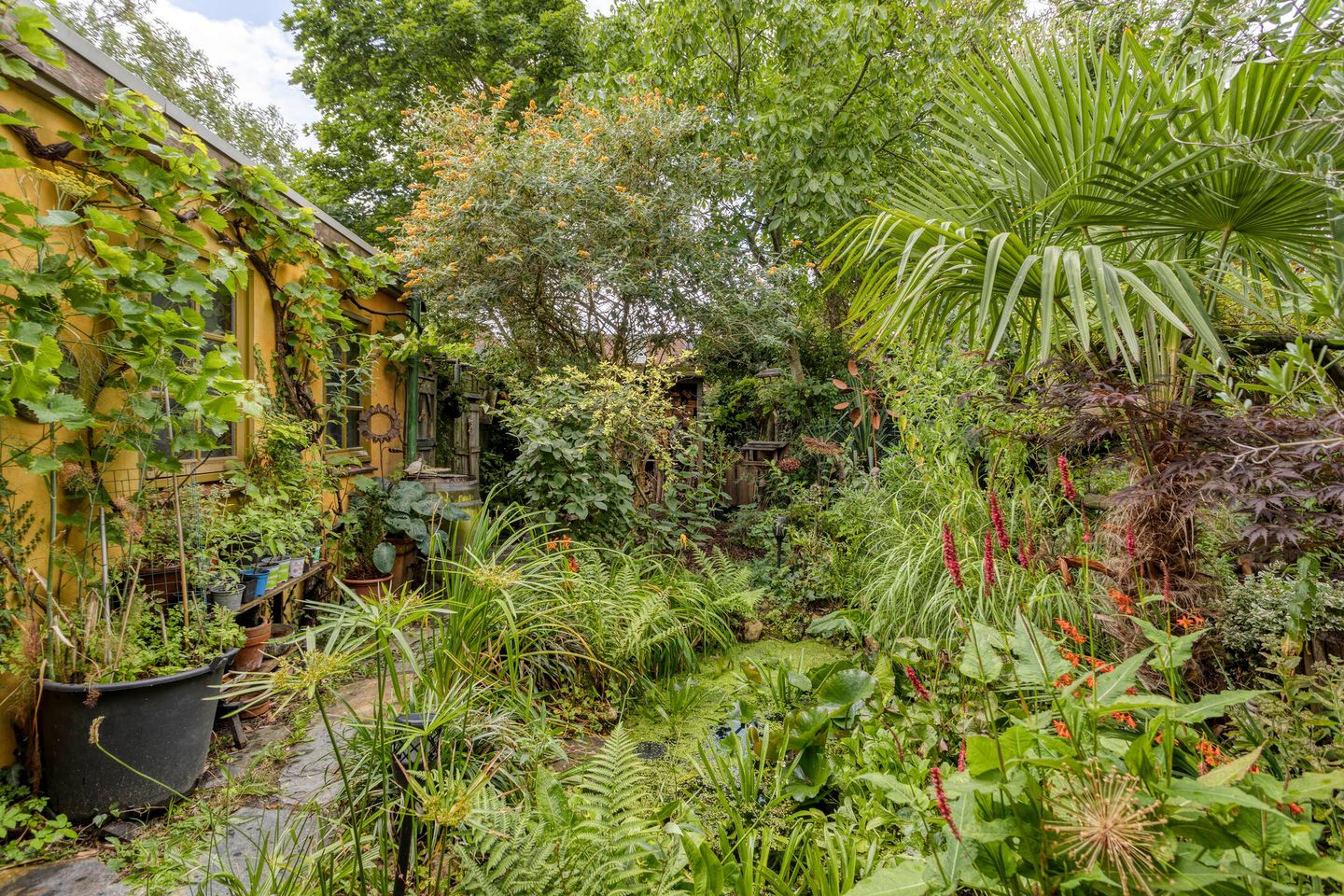 Foto 19 van Segeersweg 32