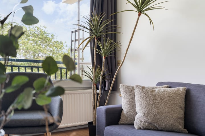 Foto 3 van Bredenoord 266