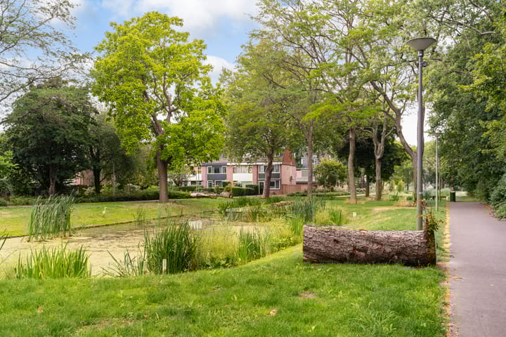 Foto 21 van Bredenoord 266