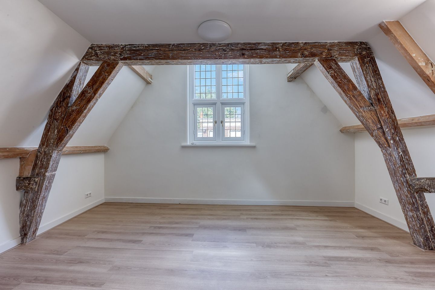 Foto 29 van Lange Beestenmarkt 85