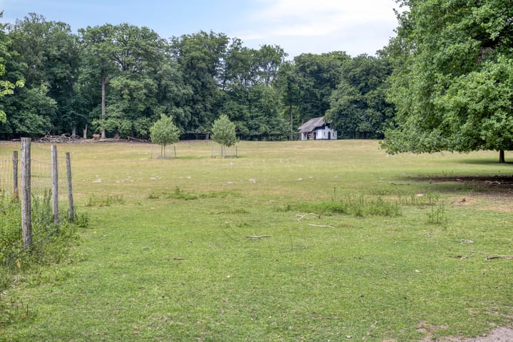 Foto 30 van Sonsbeeksingel 68