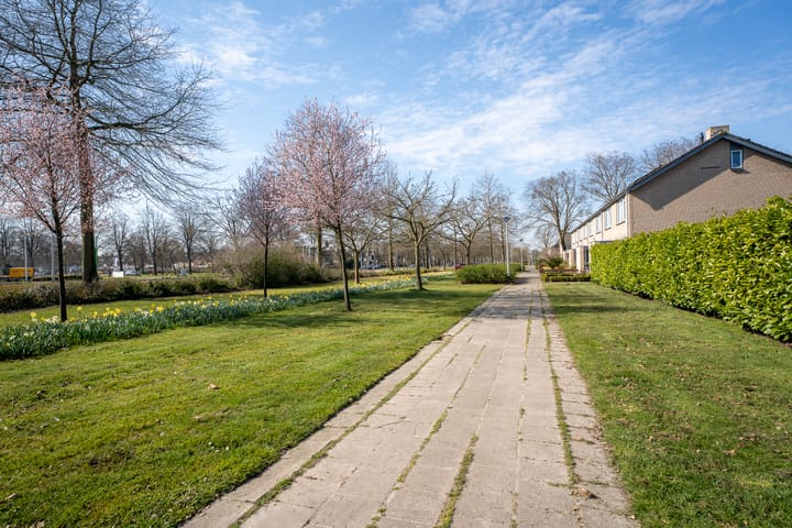 Photo 34 of Schuivenoord 63