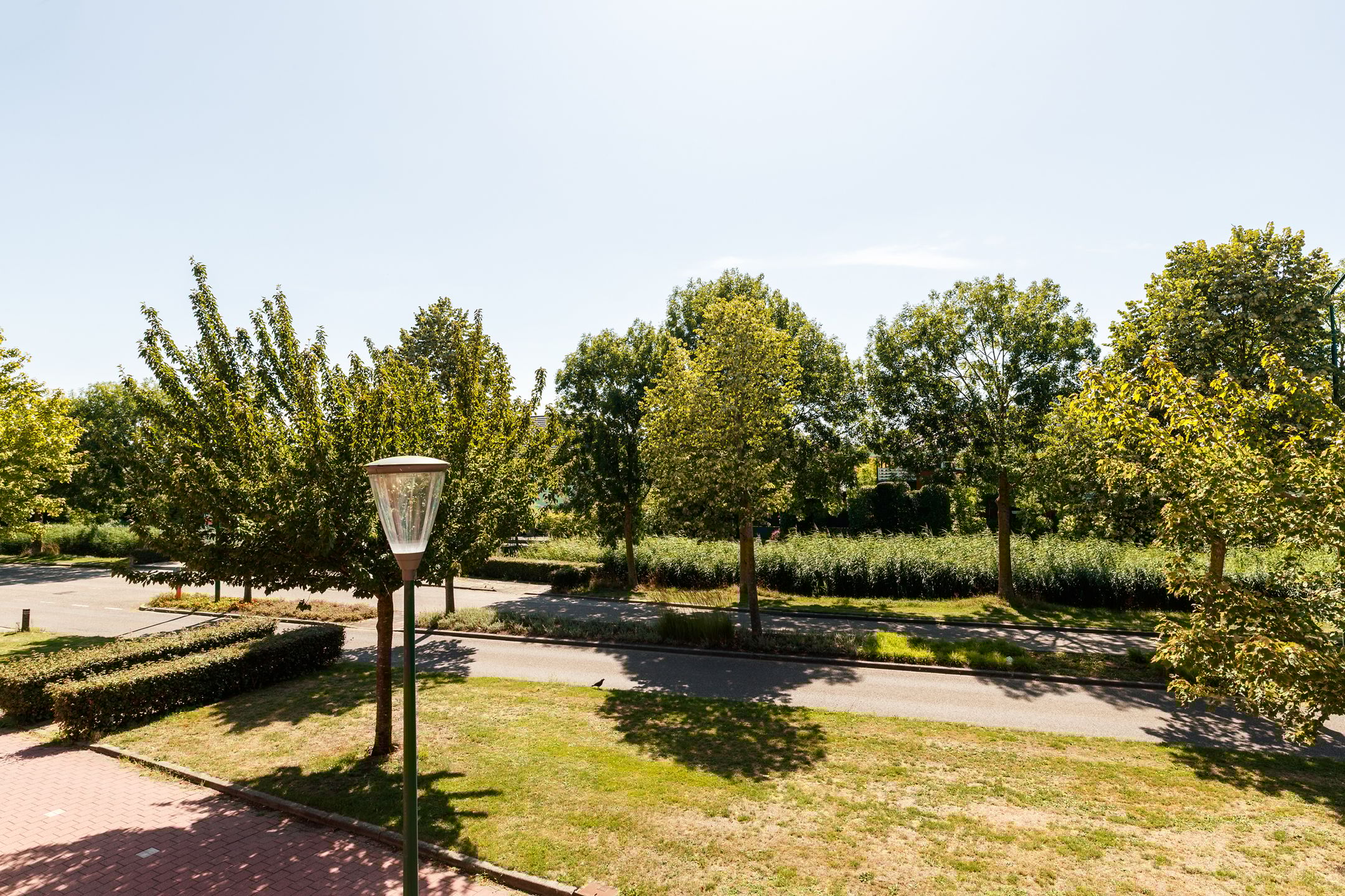 Foto 21 van Waterlelie 35