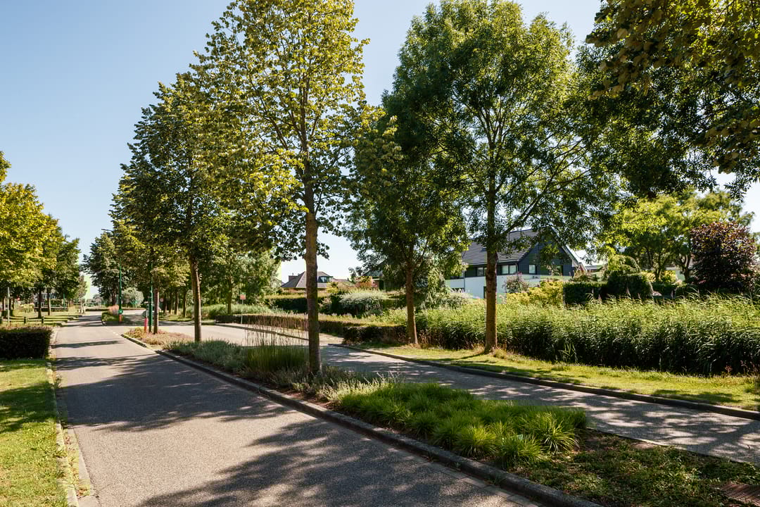 Foto 23 van Waterlelie 35