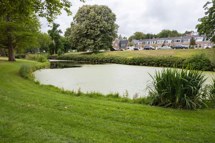 Foto 2 van Pernambucolaan 6-A