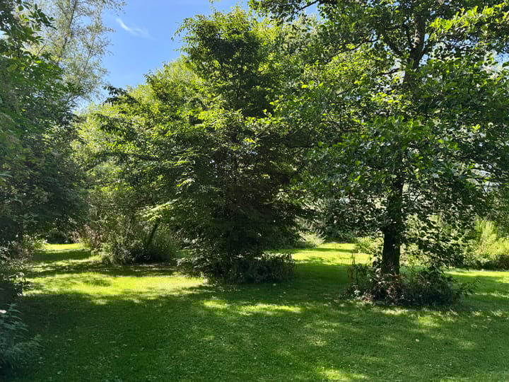 Foto 7 van Eilandspolder 403 + 404 + 405