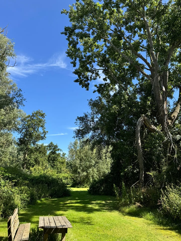 Foto 10 van Eilandspolder 403 + 404 + 405