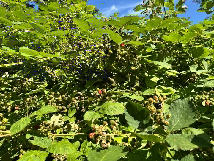 Foto 16 van Eilandspolder 403 + 404 + 405