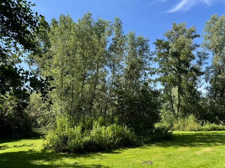 Foto 2 van Eilandspolder 403 + 404 + 405