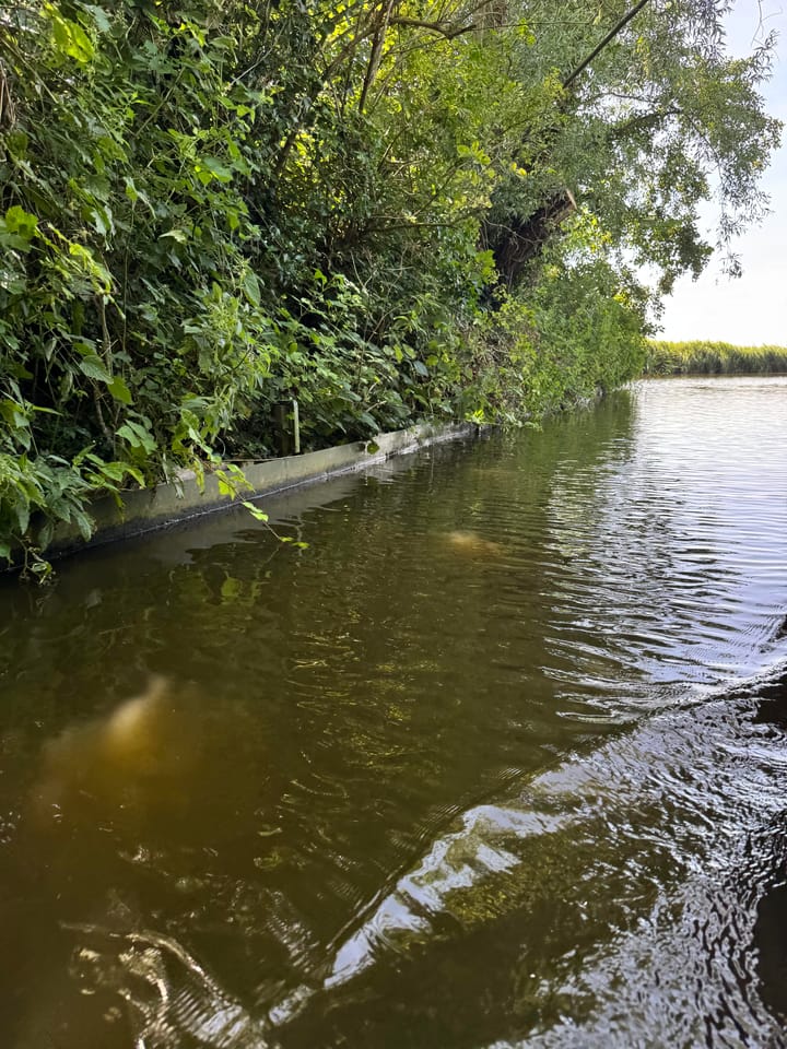 Foto 18 van Eilandspolder 403 + 404 + 405