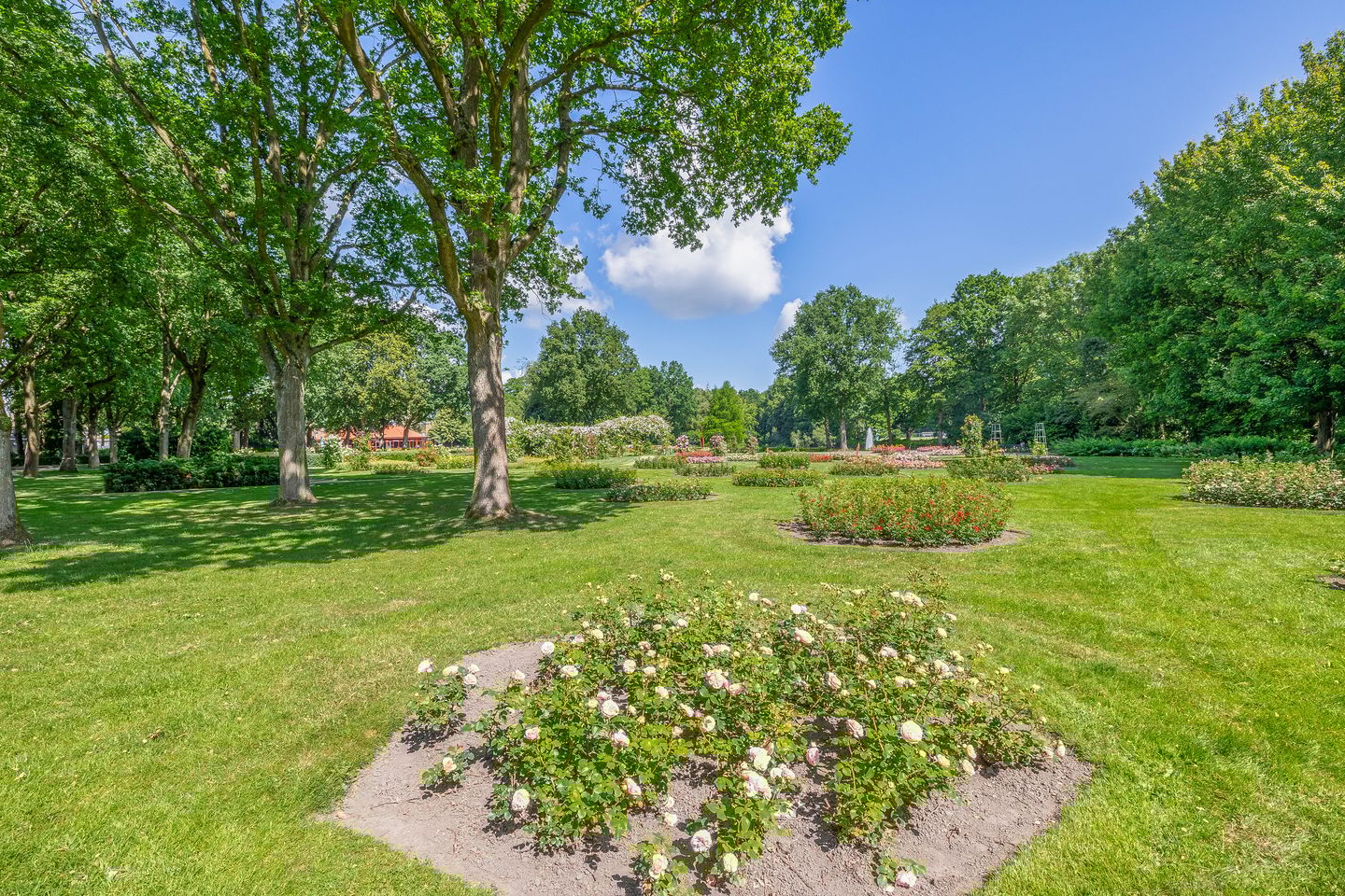 Foto 29 van Witte de Withstraat 92