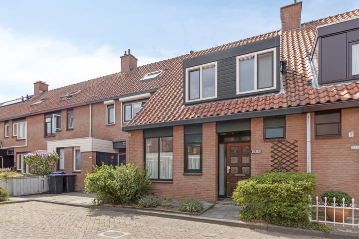 Foto 2 van Vlinderveen 521